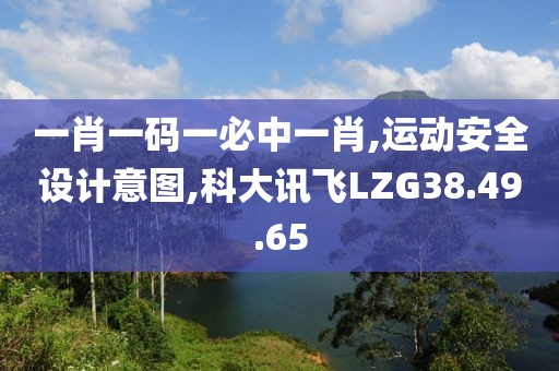 一肖一码一必中一肖,运动安全设计意图,科大讯飞LZG38.49.65