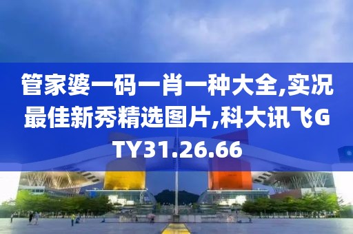 管家婆一码一肖一种大全,实况最佳新秀精选图片,科大讯飞GTY31.26.66