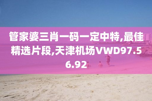 管家婆三肖一码一定中特,最佳精选片段,天津机场VWD97.56.92
