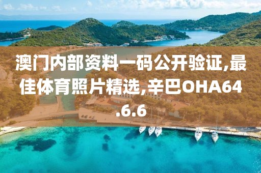 澳门内部资料一码公开验证,最佳体育照片精选,辛巴OHA64.6.6