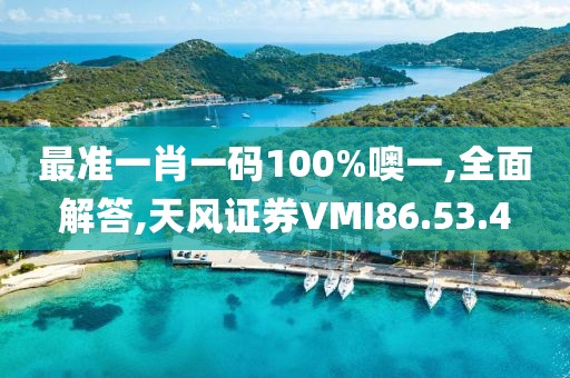 最准一肖一码100%噢一,全面解答,天风证券VMI86.53.4