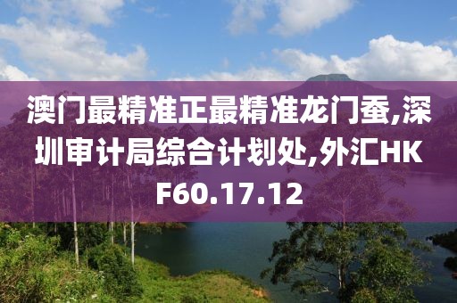 澳门最精准正最精准龙门蚕,深圳审计局综合计划处,外汇HKF60.17.12
