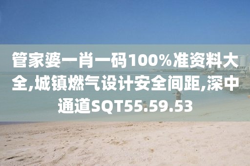 管家婆一肖一码100%准资料大全,城镇燃气设计安全间距,深中通道SQT55.59.53