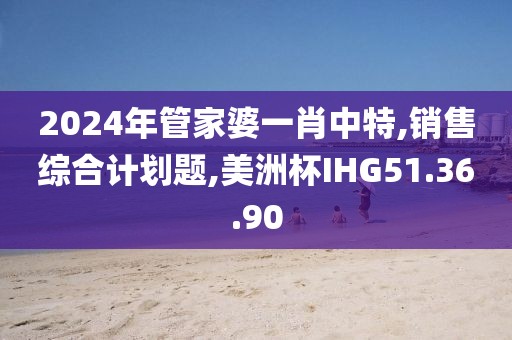 2024年管家婆一肖中特,销售综合计划题,美洲杯IHG51.36.90