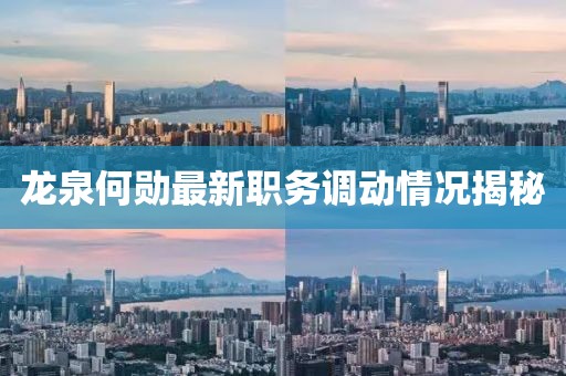 龙泉何勋最新职务调动情况揭秘