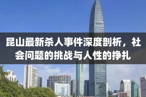 昆山最新杀人事件深度剖析，社会问题的挑战与人性的挣扎