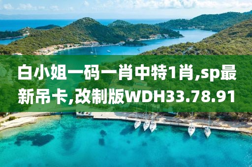 白小姐一码一肖中特1肖,sp最新吊卡,改制版WDH33.78.91
