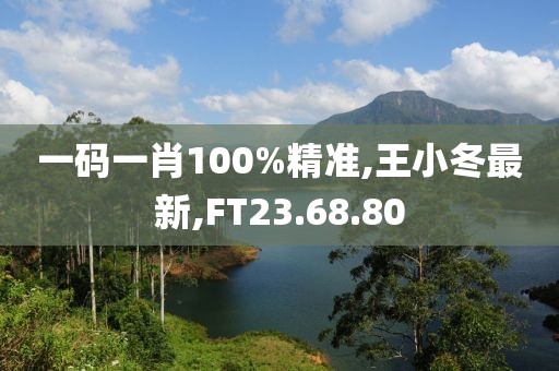 一码一肖100%精准,王小冬最新,FT23.68.80