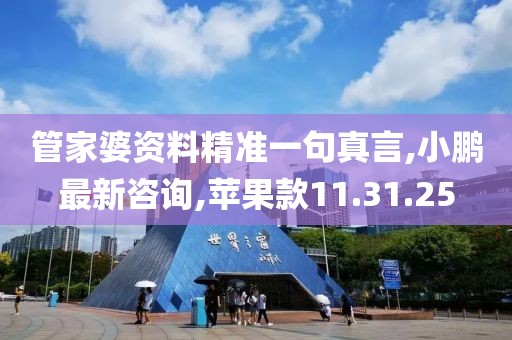 管家婆资料精准一句真言,小鹏最新咨询,苹果款11.31.25