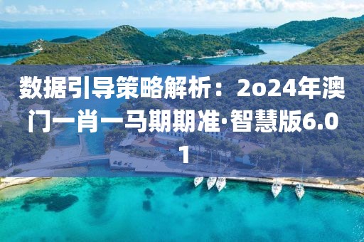 数据引导策略解析：2o24年澳门一肖一马期期准·智慧版6.01