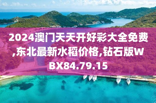 2024澳门天天开好彩大全免费,东北最新水稻价格,钻石版WBX84.79.15
