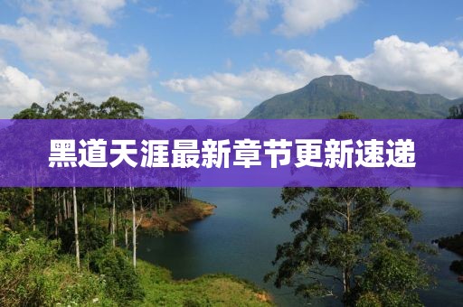 黑道天涯最新章节更新速递