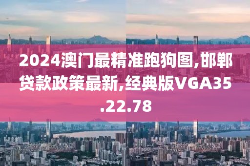 2024澳门最精准跑狗图,邯郸贷款政策最新,经典版VGA35.22.78
