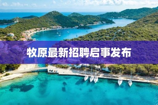 牧原最新招聘启事发布