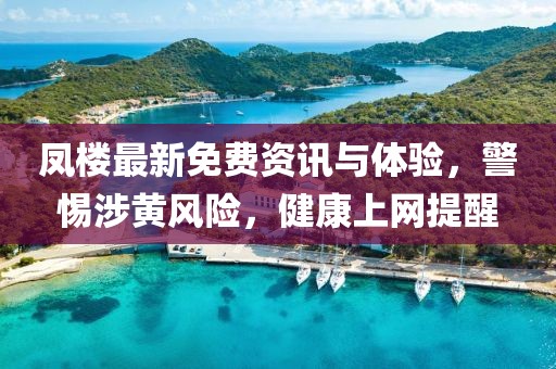 凤楼最新免费资讯与体验，警惕涉黄风险，健康上网提醒