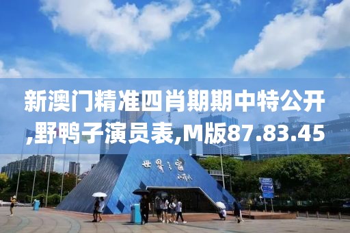新澳门精准四肖期期中特公开,野鸭子演员表,M版87.83.45