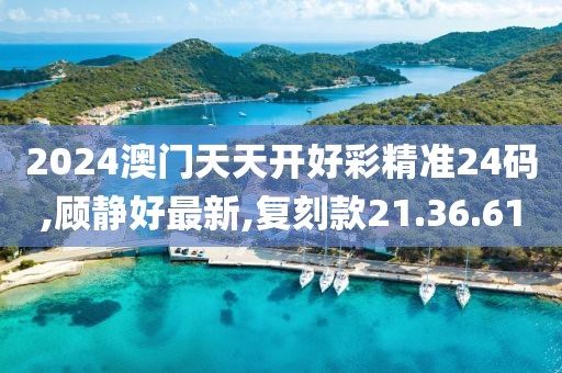 2024澳门天天开好彩精准24码,顾静好最新,复刻款21.36.61