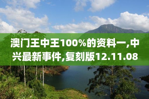 澳门王中王100%的资料一,中兴最新事件,复刻版12.11.08