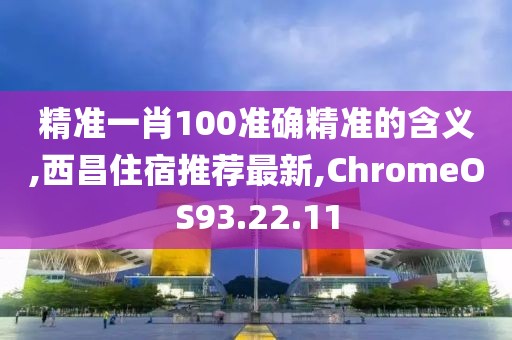 精准一肖100准确精准的含义,西昌住宿推荐最新,ChromeOS93.22.11