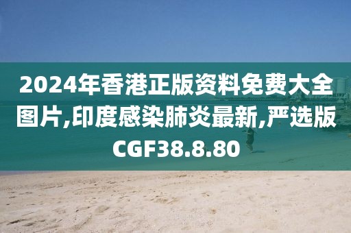 2024年香港正版资料免费大全图片,印度感染肺炎最新,严选版CGF38.8.80