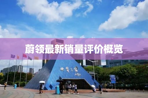 蔚领最新销量评价概览