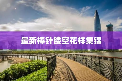 最新棒针镂空花样集锦