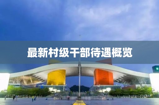 最新村级干部待遇概览