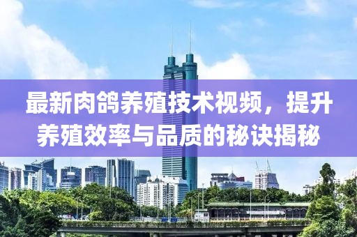 最新肉鸽养殖技术视频，提升养殖效率与品质的秘诀揭秘