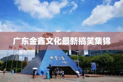 广东金鑫文化最新搞笑集锦