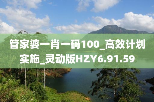 管家婆一肖一码100_高效计划实施_灵动版HZY6.91.59