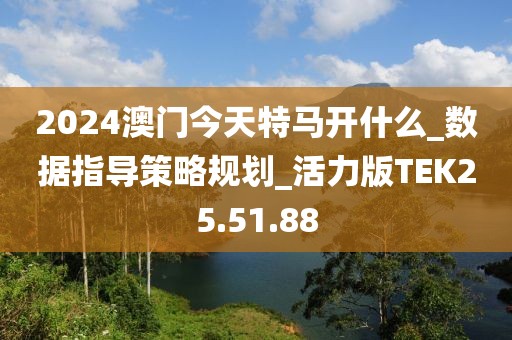 2024澳门今天特马开什么_数据指导策略规划_活力版TEK25.51.88