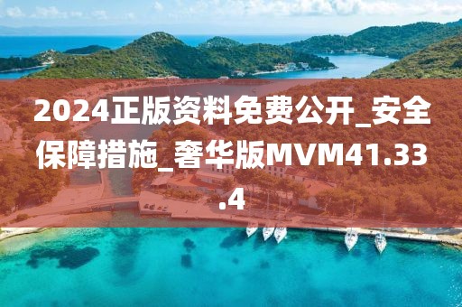 2024正版资料免费公开_安全保障措施_奢华版MVM41.33.4