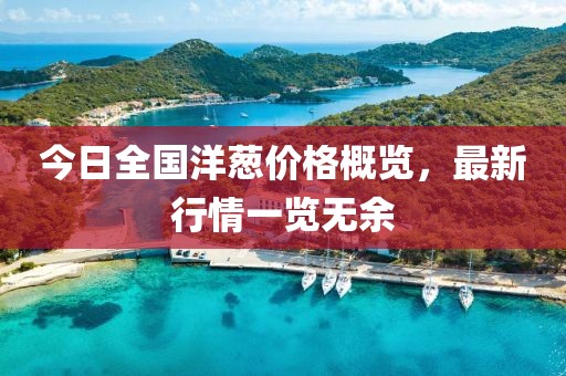 今日全国洋葱价格概览，最新行情一览无余