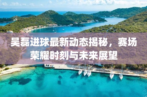 吴磊进球最新动态揭秘，赛场荣耀时刻与未来展望