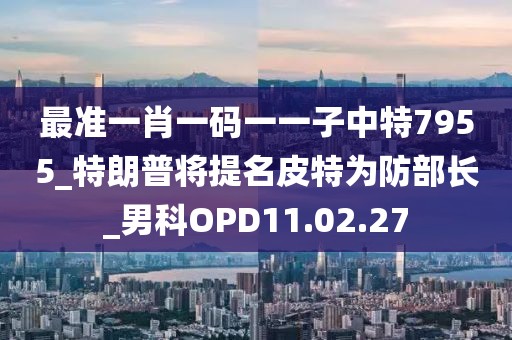 初告白 第96页