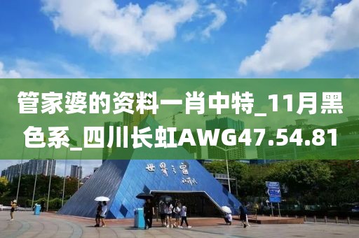 管家婆的资料一肖中特_11月黑色系_四川长虹AWG47.54.81