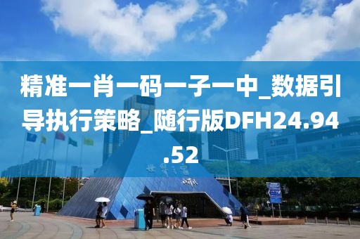 精准一肖一码一子一中_数据引导执行策略_随行版DFH24.94.52