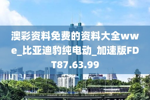 澳彩资料免费的资料大全wwe_比亚迪豹纯电动_加速版FDT87.63.99