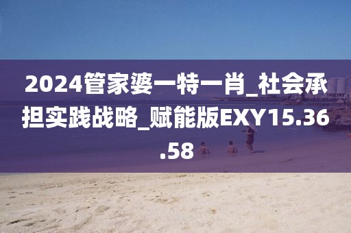 2024管家婆一特一肖_社会承担实践战略_赋能版EXY15.36.58