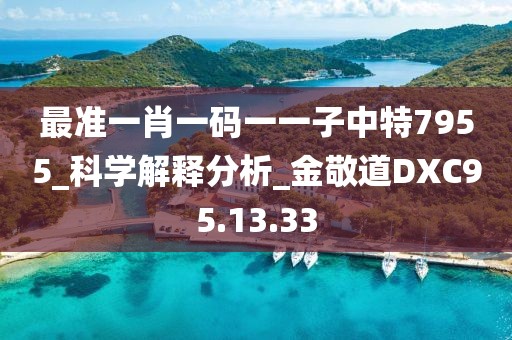 最准一肖一码一一子中特7955_科学解释分析_金敬道DXC95.13.33