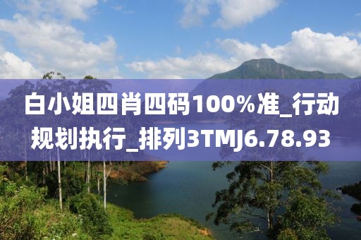 白小姐四肖四码100%准_行动规划执行_排列3TMJ6.78.93