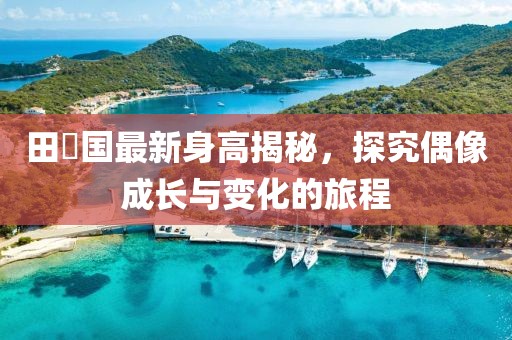 田柾国最新身高揭秘，探究偶像成长与变化的旅程