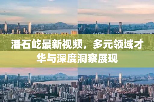 潘石屹最新视频，多元领域才华与深度洞察展现