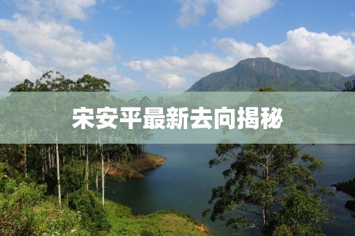 宋安平最新去向揭秘