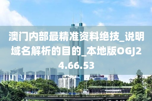 澳门内部最精准资料绝技_说明域名解析的目的_本地版OGJ24.66.53