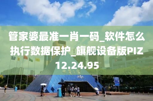 管家婆最准一肖一码_软件怎么执行数据保护_旗舰设备版PIZ12.24.95