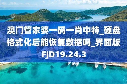 澳门管家婆一码一肖中特_硬盘格式化后能恢复数据吗_界面版FJD19.24.3