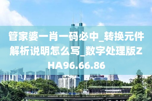 管家婆一肖一码必中_转换元件解析说明怎么写_数字处理版ZHA96.66.86