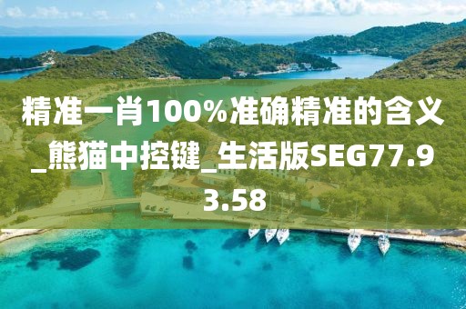 精准一肖100%准确精准的含义_熊猫中控键_生活版SEG77.93.58