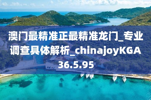 澳门最精准正最精准龙门_专业调查具体解析_chinajoyKGA36.5.95